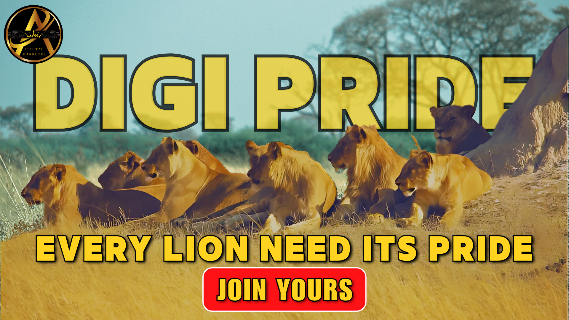 DIGI PRIDE WITH ANUJ CONTACT